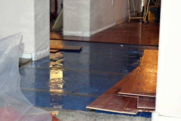 Professional Water Damage Restoration technician working in Helendale, CA